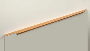 Мебельная ручка RAY RT009SG.1/000/900/*