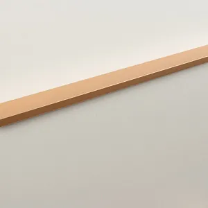 Мебельная ручка RAY RT009SG.1/000/600/*