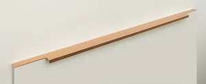 Мебельная ручка RAY RT009SG.1/000/700