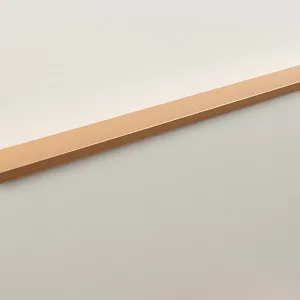 Мебельная ручка RAY RT109SG.1/000/600